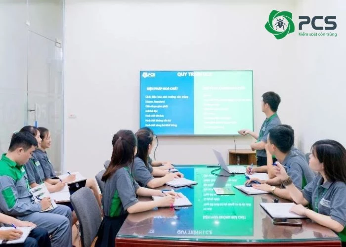 Tại sao nên chọn dịch vụ diệt kiến tại Biên Hòa của PCS?